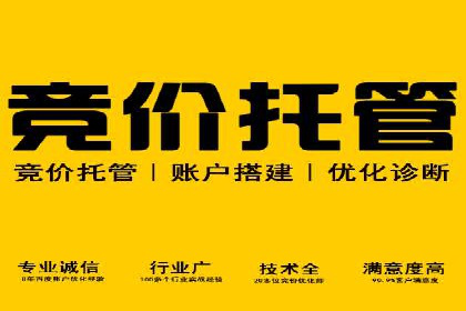 SEM代运营公司案例分析报告